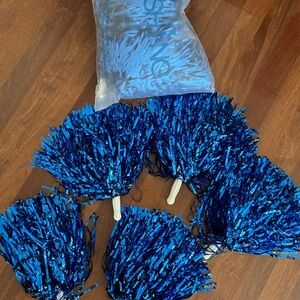Blue 22 pc Pom Pom